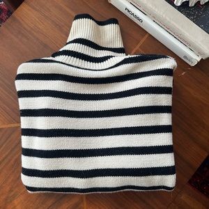 Toteme Signature Stripe Wool Turtleneck
